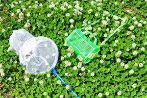 昇進･昇格試験の論文考3  ｢評価軸｣について(1)