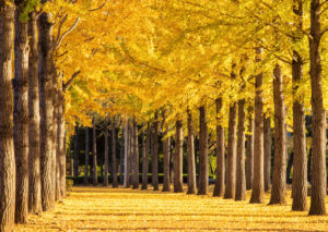 昇進・昇格試験の論文考８「フィードバックコメント」について(2)