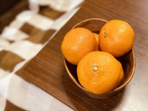 昇進・昇格試験の論文考10「フィードバックコメント」について（４）